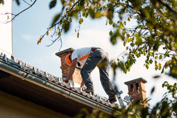 Best Roofing Contractor Near Me  in Wathena, KS